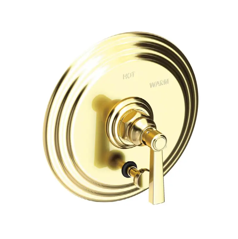 Astor® Balanced Pressure Tub & Shower Diverter Plate with Handle. Less Showerhead, arm and flange.