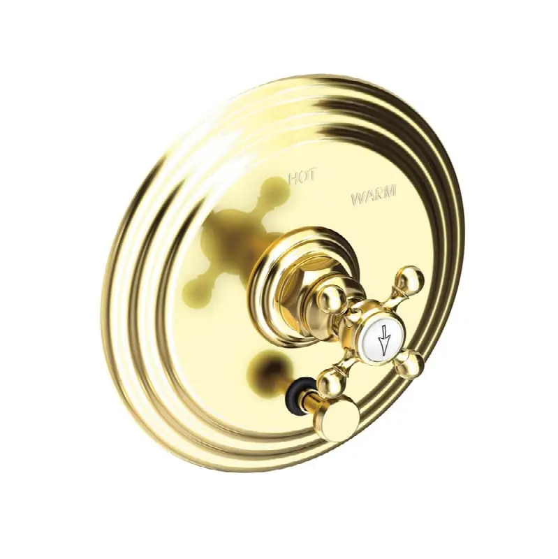 Astor® Balanced Pressure Tub & Shower Diverter Plate with Handle. Less Showerhead, arm and flange.