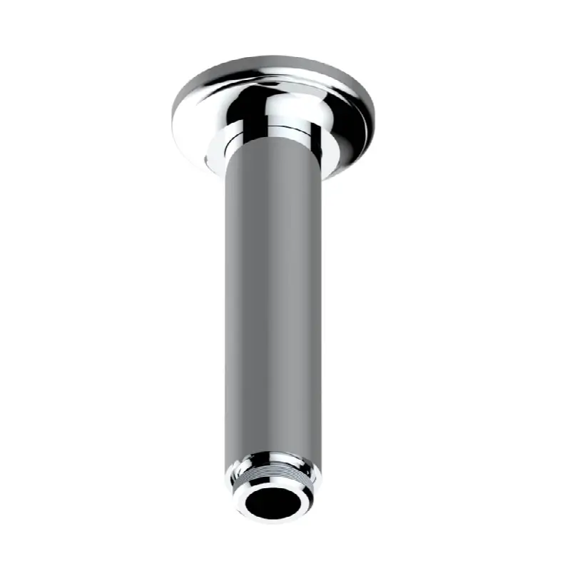 Vertical shower arm ceiling mounted 1/2" connection