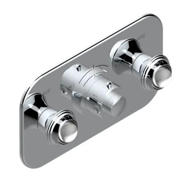 Trim For Thg Thermostat With 2 Valves Ref. 5 401ahm/us Rough Part Supplied With Fixing Box, Item To Be Installed Horizontal
