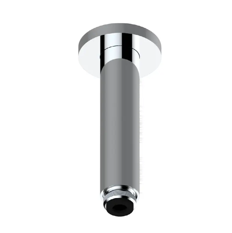 Vertical shower arm ceiling mounted 1/2" connection