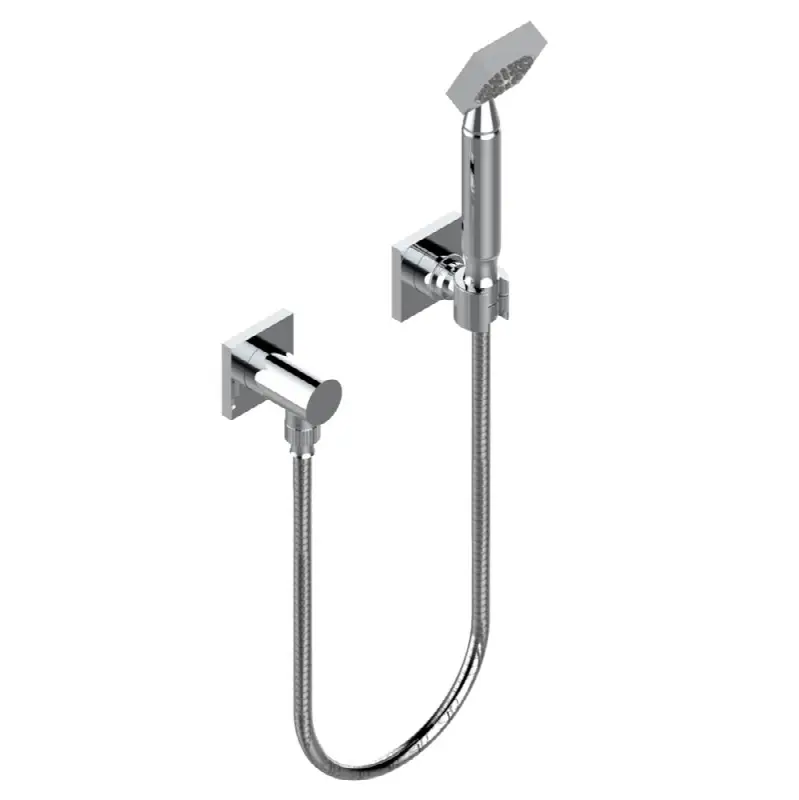 Wall mounted handshower with separate fixed hook