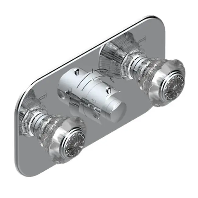 Trim For Thg Thermostat With 2 Valves Ref. 5 401ahm/us Rough Part Supplied With Fixing Box, Item To Be Installed Horizontal