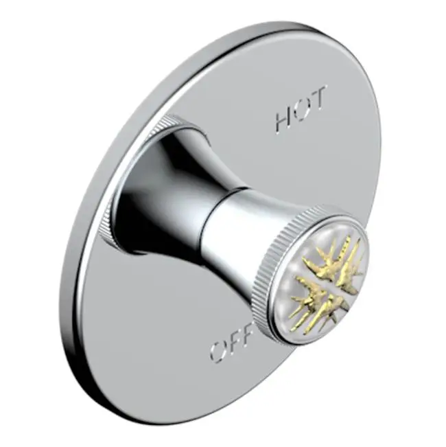 Trim For Pressure Balance Valve