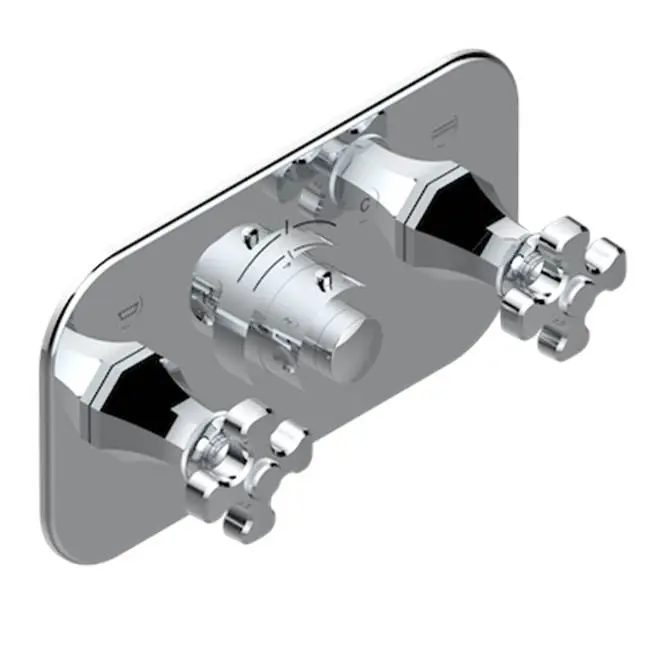 Trim For Thg Thermostat With 2 Valves Ref. 5 401ahm/us Rough Part Supplied With Fixing Box, Item To Be Installed Horizontal