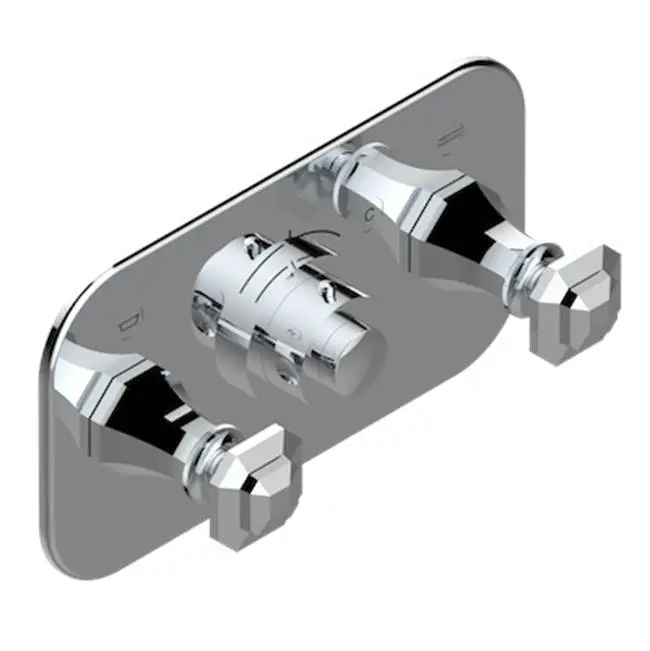 Trim For Thg Thermostat With 2 Valves Ref. 5 401ahm/us Rough Part Supplied With Fixing Box, Item To Be Installed Horizontal