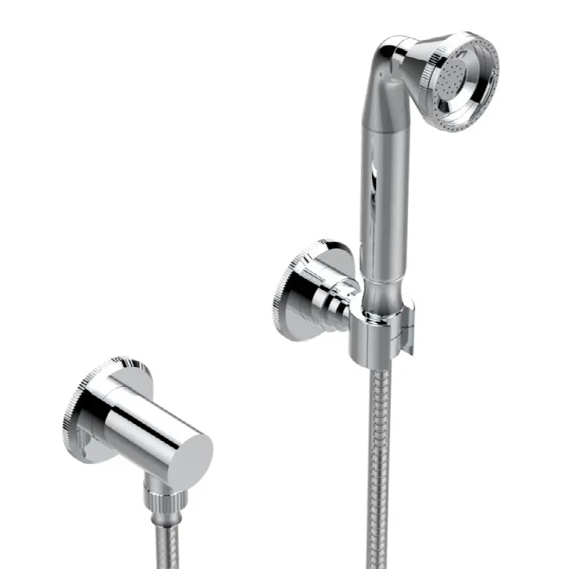 Wall mounted handshower with separate fixed hook