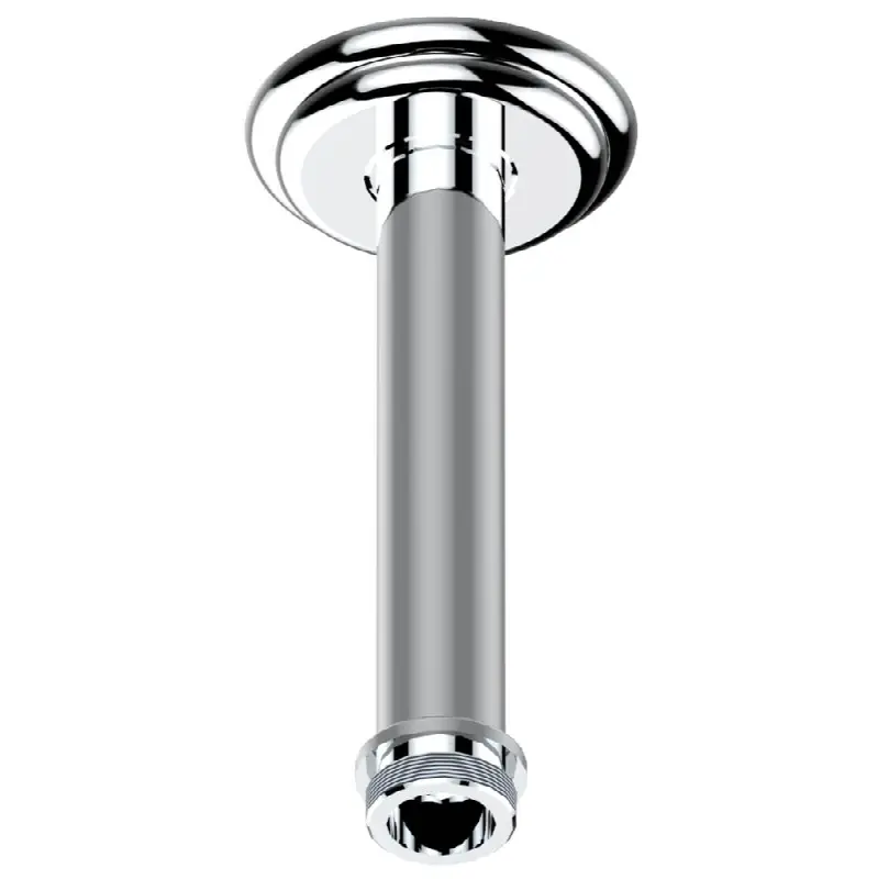Vertical shower arm ceiling mounted 1/2" connection