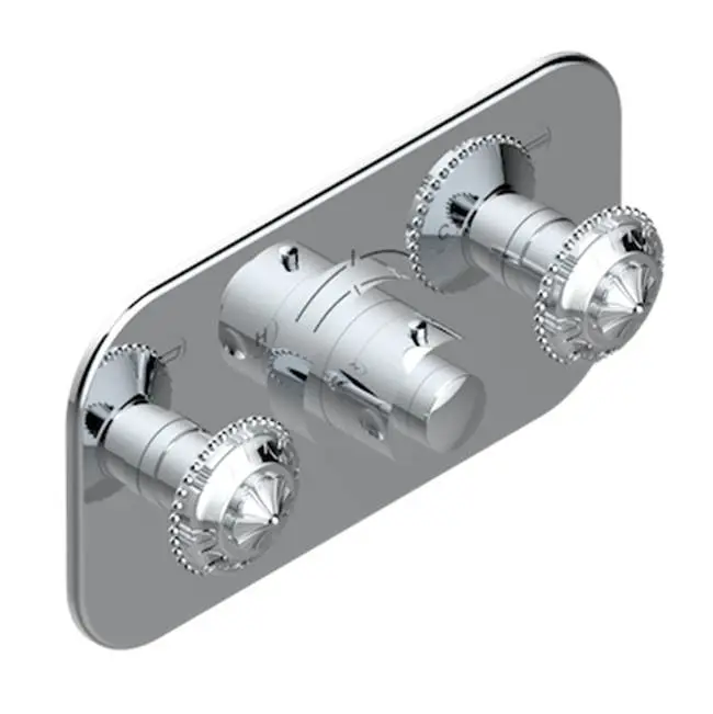 Trim For Thg Thermostat With 2 Valves Ref. 5 401ahm/us Rough Part Supplied With Fixing Box, Item To Be Installed Horizontal