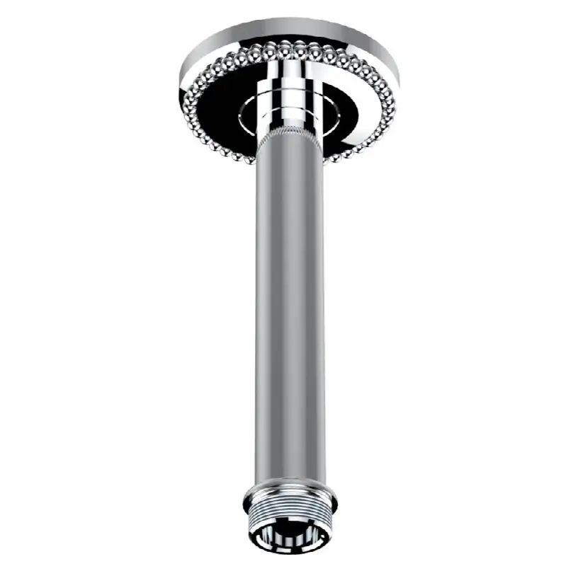 Vertical shower arm ceiling mounted 1/2" connection