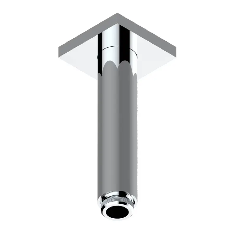 Vertical shower arm ceiling mounted 1/2" connection