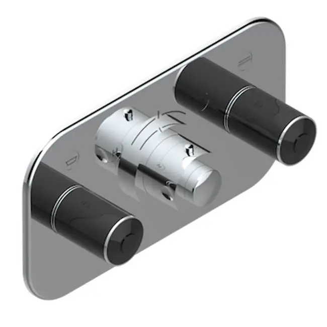 Trim For Thg Thermostat With 2 Valves Ref. 5 401ahm/us Rough Part Supplied With Fixing Box, Item To Be Installed Horizontal