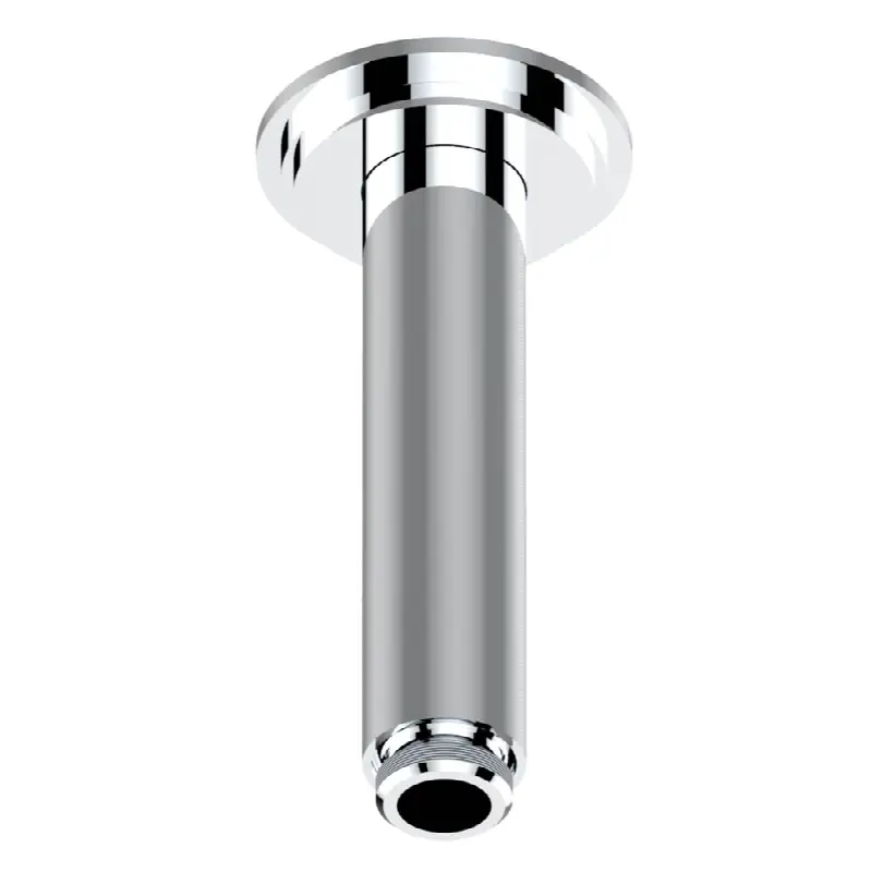 Vertical shower arm ceiling mounted 1/2" connection