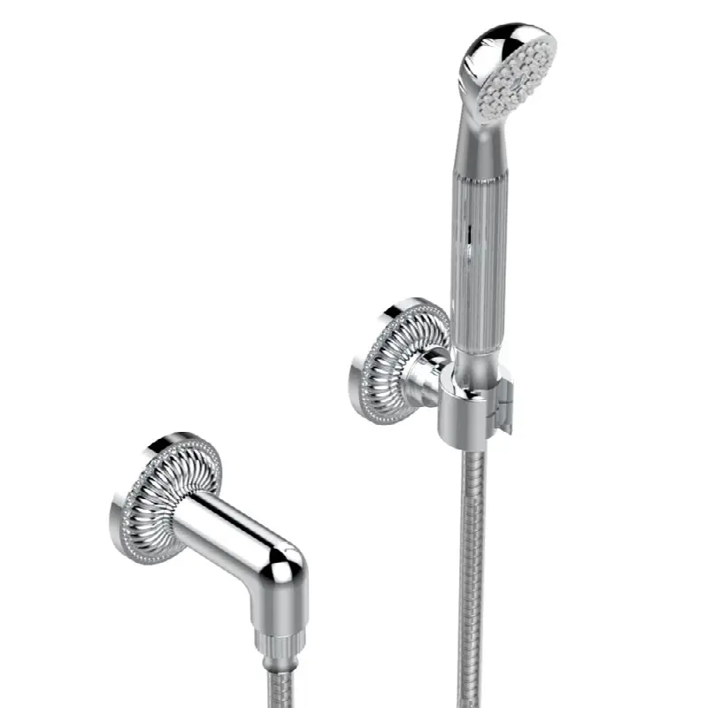 Wall mounted handshower with separate fixed hook