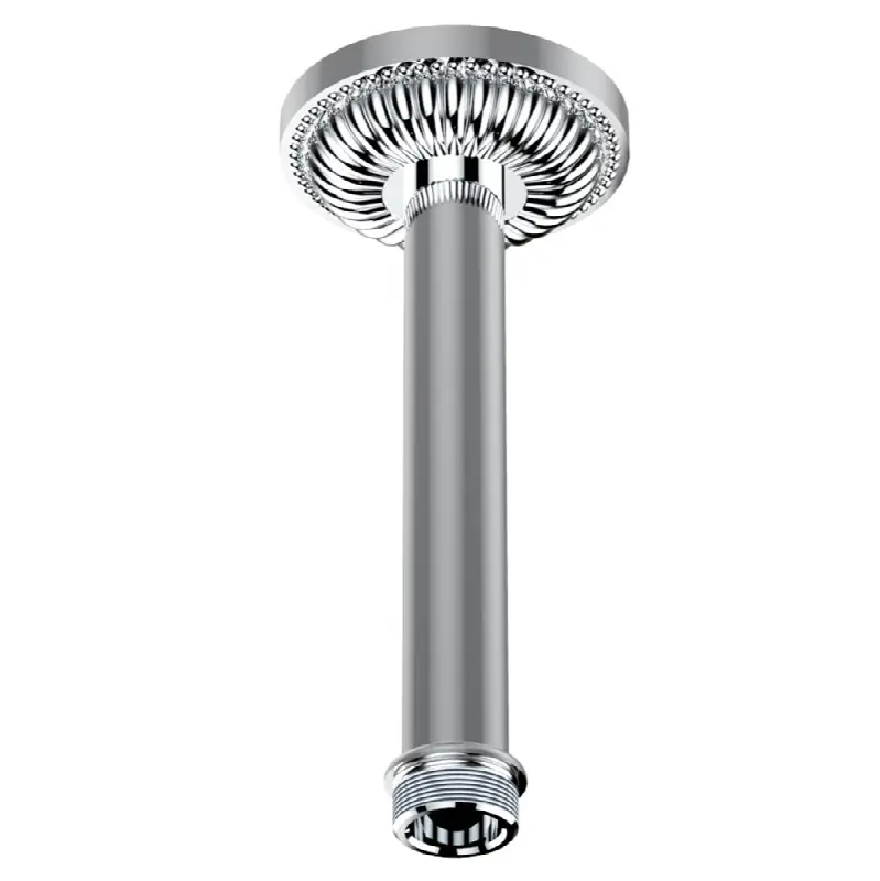 Vertical shower arm ceiling mounted 1/2" connection