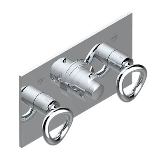 Trim For Thg Thermostat With 2 Valves Ref. 5 401ahm/us Rough Part Supplied With Fixing Box, Item To Be Installed Horizontal