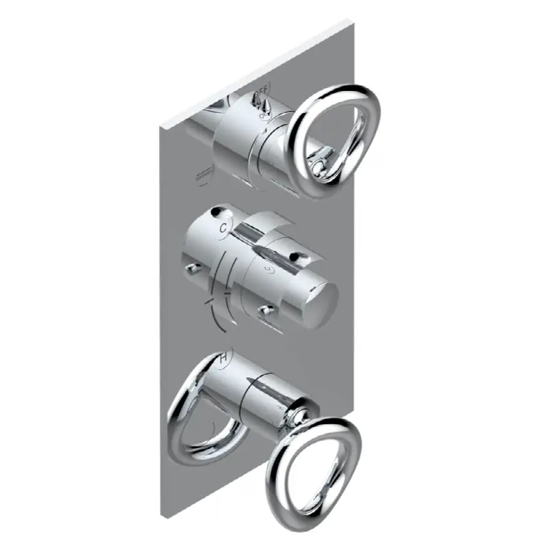 Trim for thg thermostat with 2-way diverter and on/off control, rough part supplied with fixing box ref. .5 540AE/US