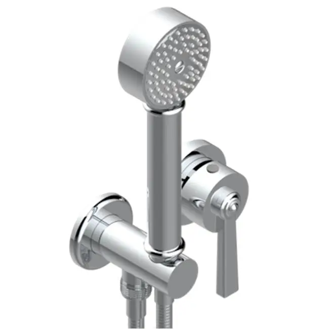 Trim Only For Wall Mixer With Complete Handshower On Hook