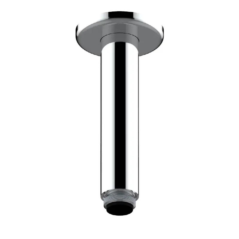 Vertical shower arm ceiling mounted 1/2" connection