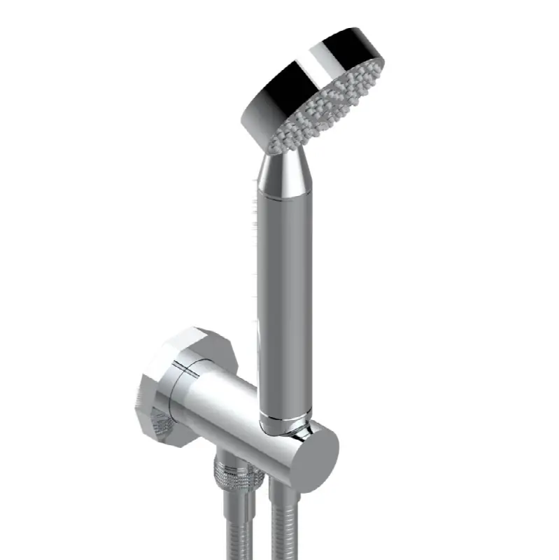 Wall mounted handshower with integrated fixed hook