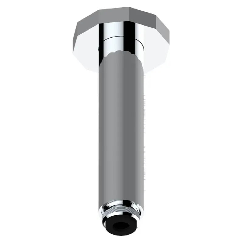 Vertical shower arm ceiling mounted 1/2" connection