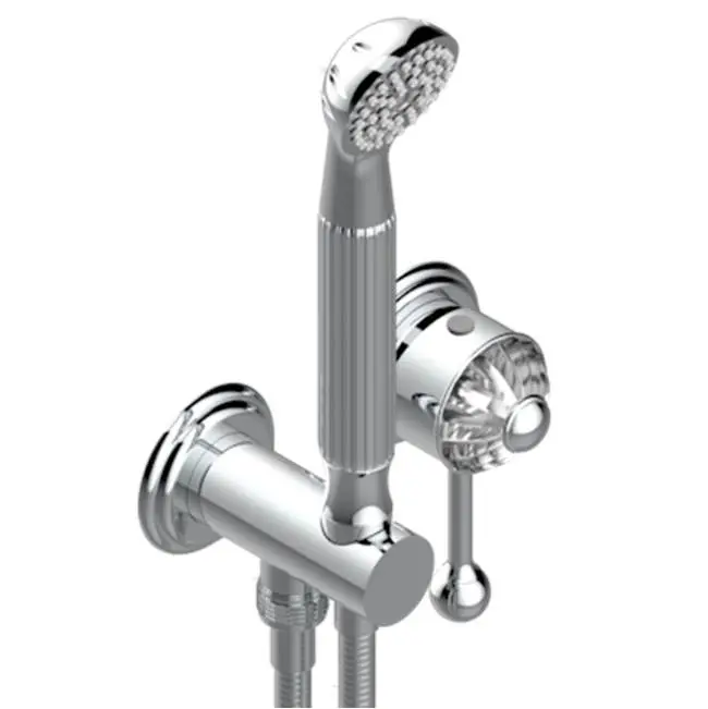 Trim Only For Wall Mixer With Complete Handshower On Hook
