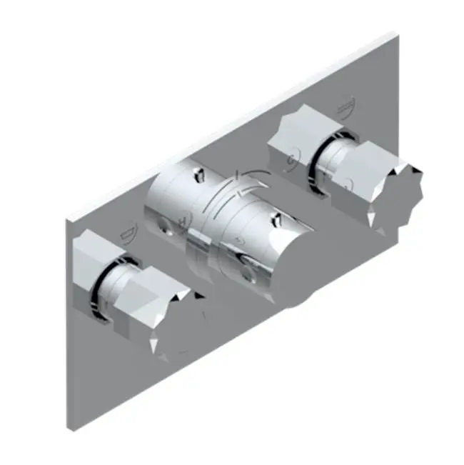 Trim For Thg Thermostat With 2 Valves Ref. 5 401ahm/us Rough Part Supplied With Fixing Box, Item To Be Installed Horizontal