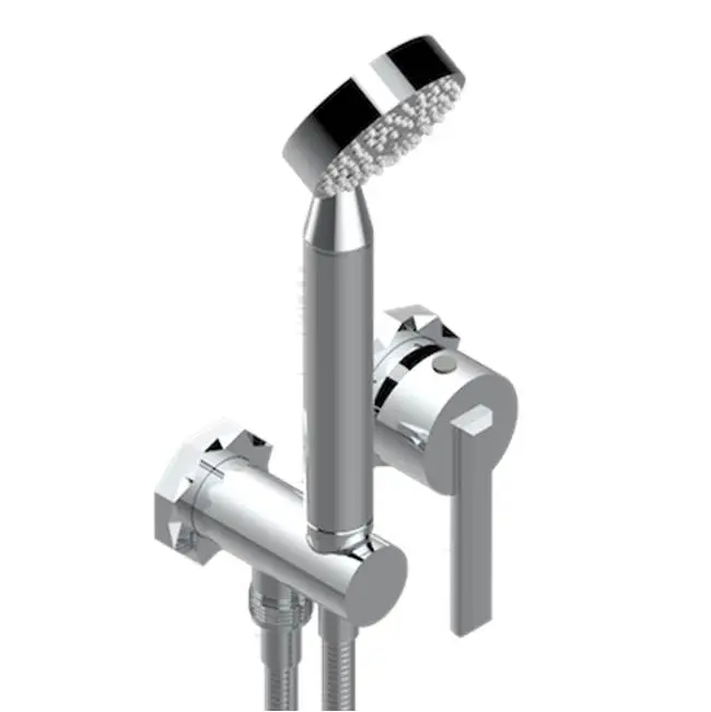 Trim Only For Wall Mixer With Complete Handshower On Hook