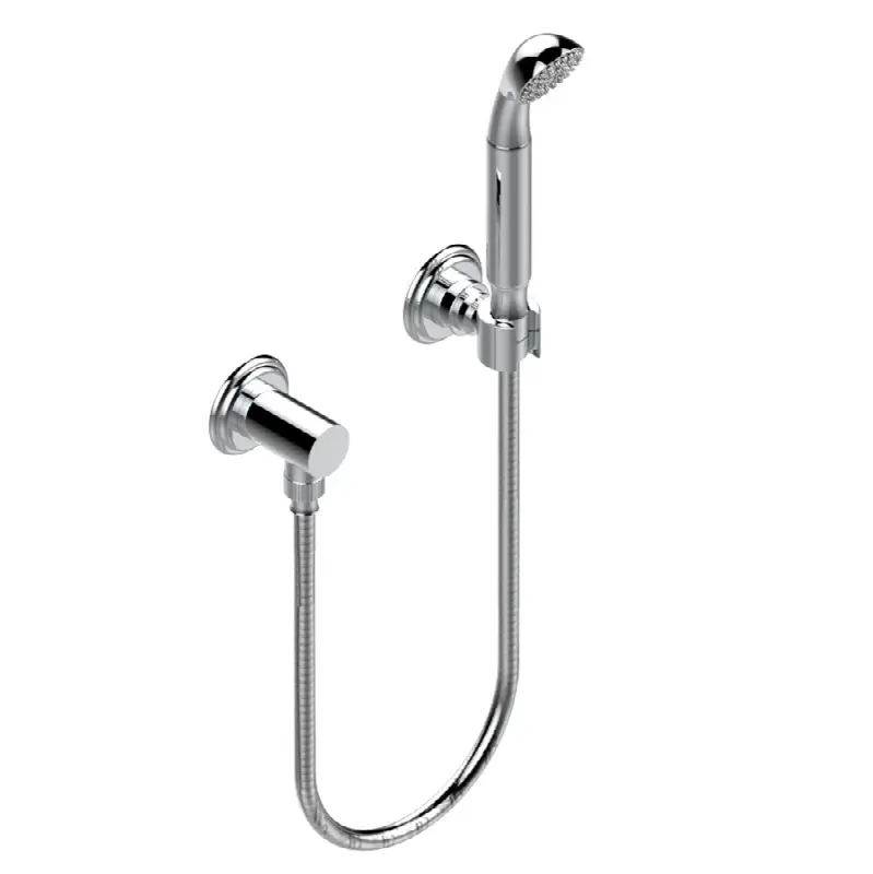Wall mounted handshower with separate fixed hook