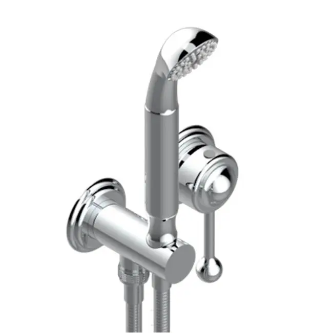 Trim Only For Wall Mixer With Complete Handshower On Hook