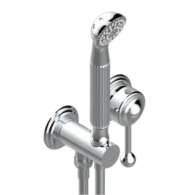 Trim Only For Wall Mixer With Complete Handshower On Hook