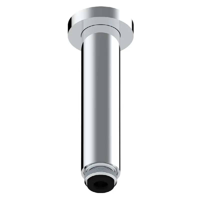 Vertical shower arm ceiling mounted 1/2" connection