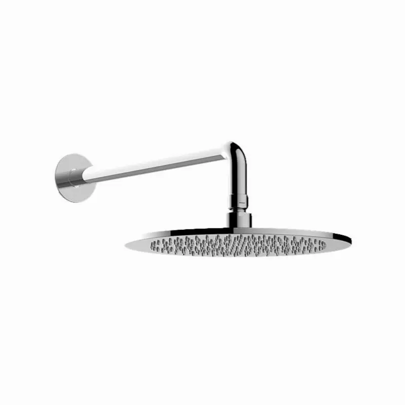 Various Contemporary Showerhead with Arm