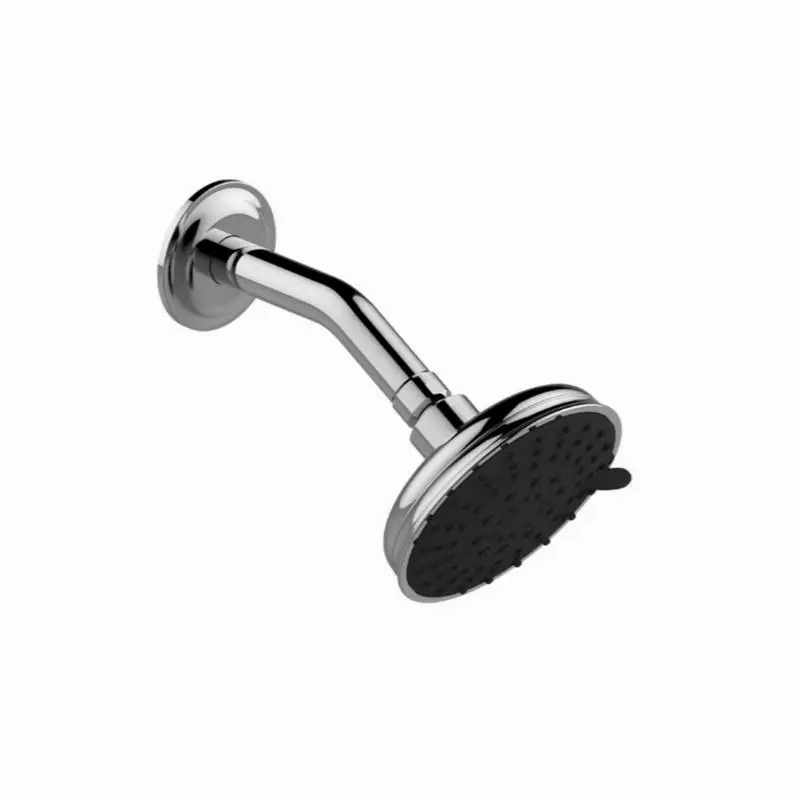 Various Transitional Showerhead with Arm