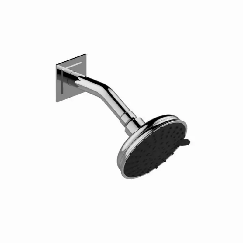 Various Transitional Showerhead with Arm