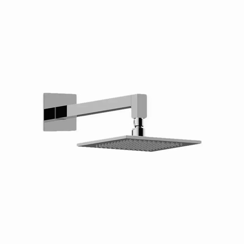 Various Contemporary Showerhead with Arm