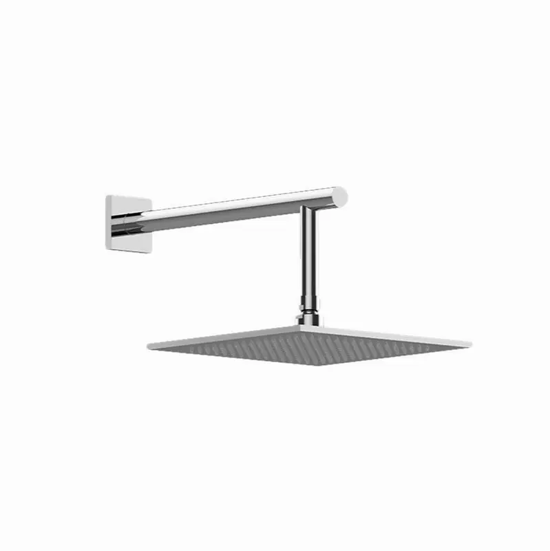 Various Contemporary Showerhead with Arm