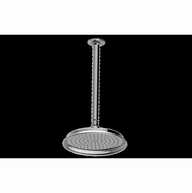 Vignola Transitional Showerhead with Ceiling Arm