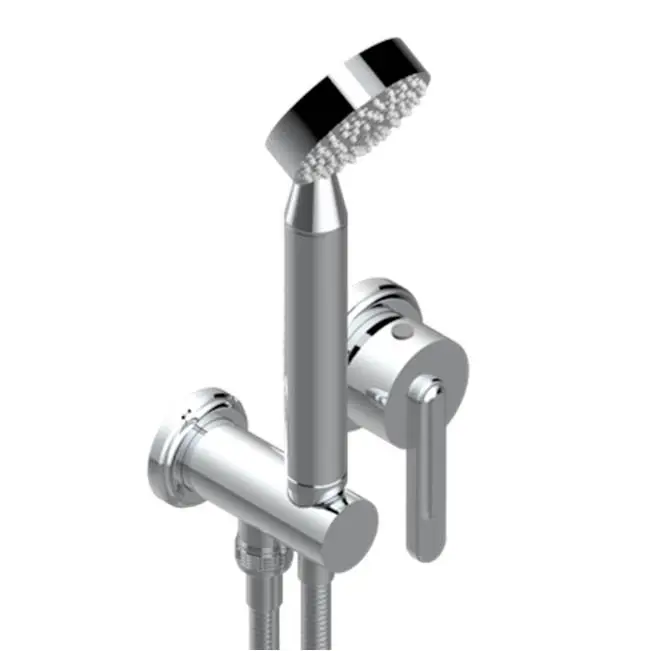Trim Only For Wall Mixer With Complete Handshower On Hook