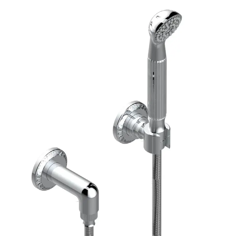Wall mounted handshower with separate fixed hook