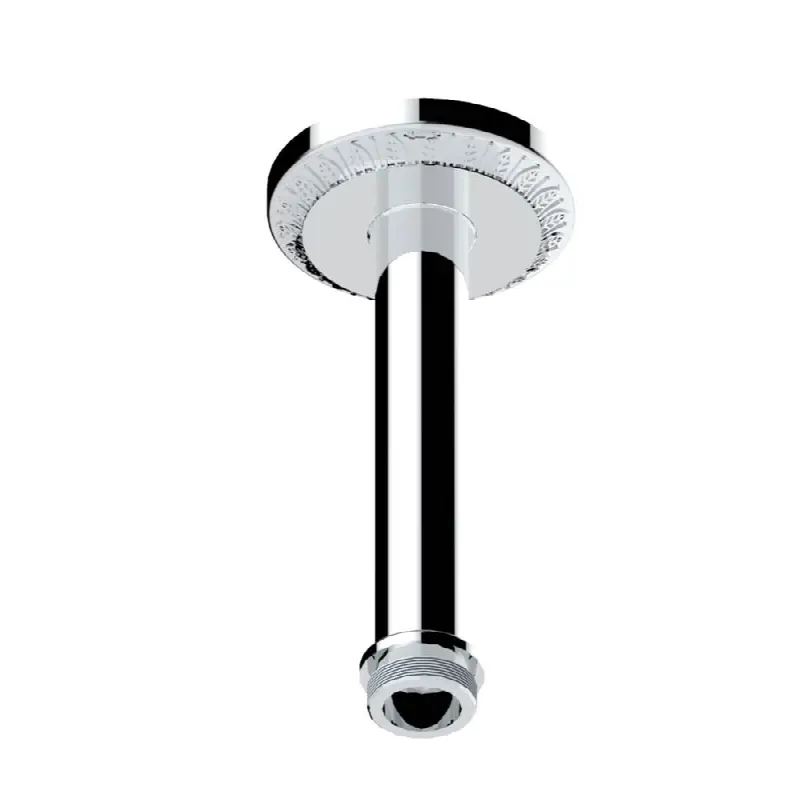 Vertical shower arm ceiling mounted 1/2" connection