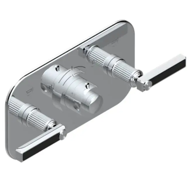 Trim For Thg Thermostat With 2 Valves Ref. 5 401ahm/us Rough Part Supplied With Fixing Box, Item To Be Installed Horizontal