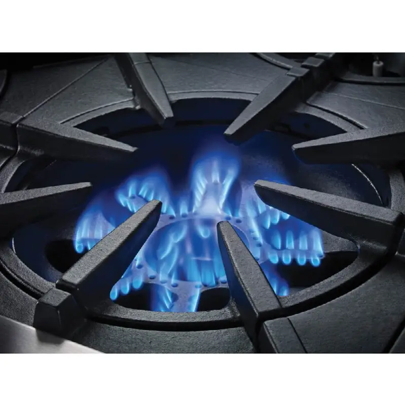24" Platinum Range Top - (4) Burners