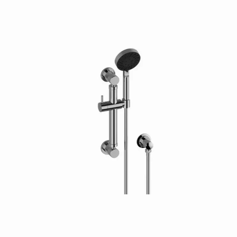 Cameo Multi-Function Handshower with 12" Grab Bar