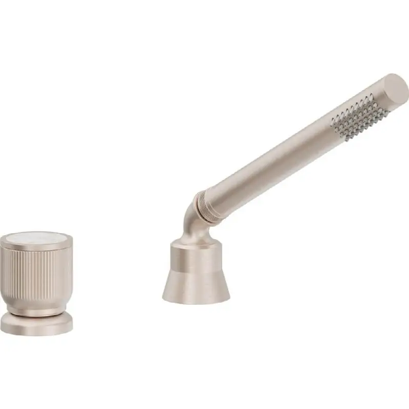 Complete Handshower & Diverter for Roman Tub