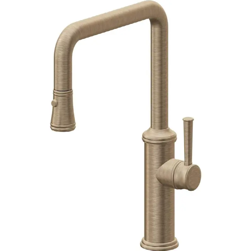 Pull-Down Kitchen Faucet with Button Sprayer - Quad Spout