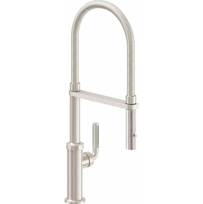 Culinary Pull-Out Kitchen Faucet with Button Sprayer