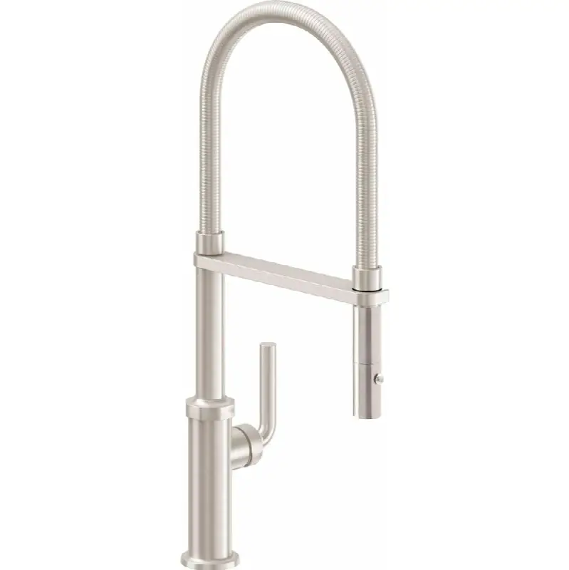 Culinary Pull-Out Kitchen Faucet with Button Sprayer