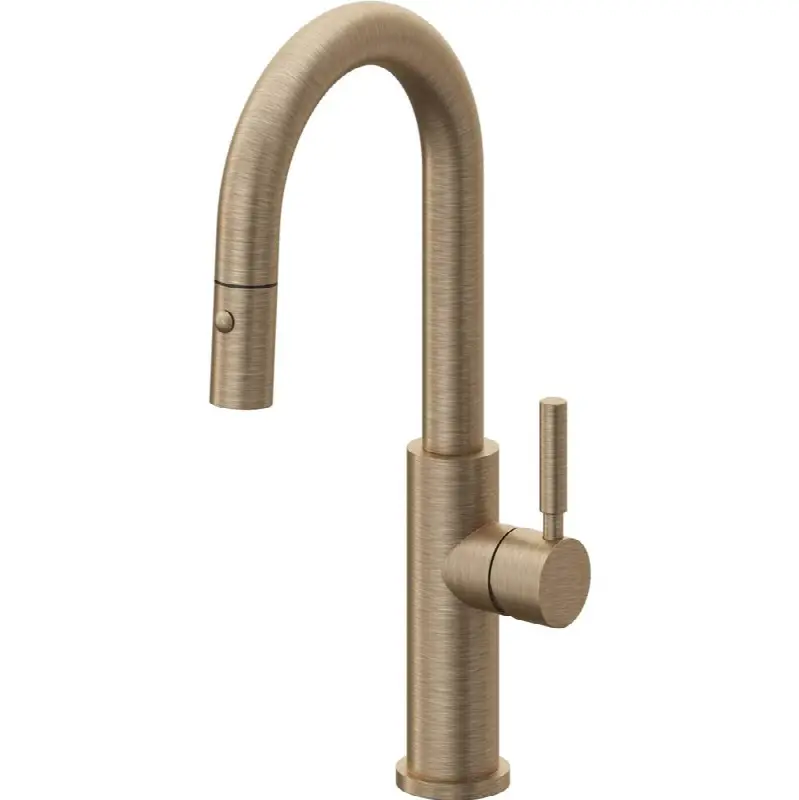 Pull-Down Prep/Bar Faucet with Button Sprayer