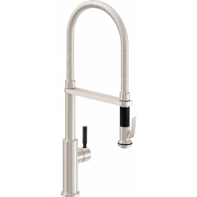 Culinary Pull-Out Kitchen Faucet with Squeeze Sprayer